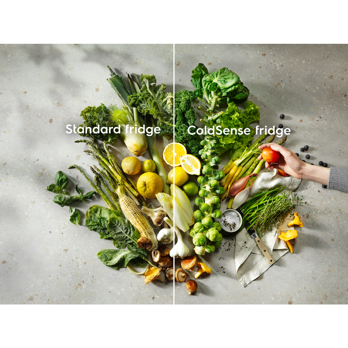 Electrolux - Inbouw koel-vriescombinatie - LNS3LE18S