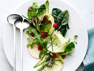 Assiette de salade fraîche sortie du réfrigérateur-congélateur Electrolux TwinTech